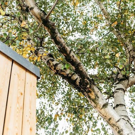 Carmen Eco-Pod / Treehouse, Close To Cabot Circus Bristol Exterior foto